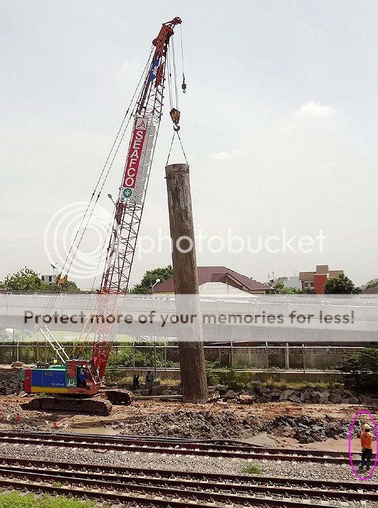 Click on the image for full size