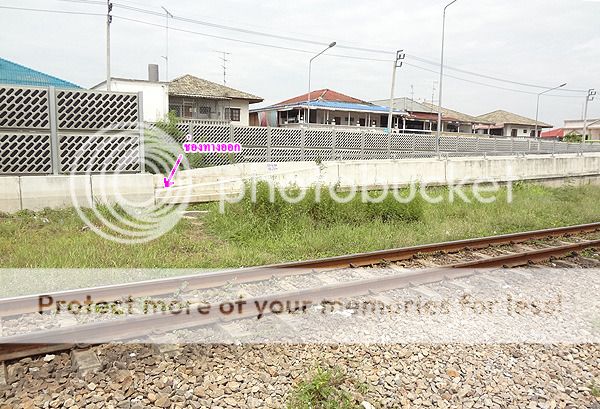 Click on the image for full size