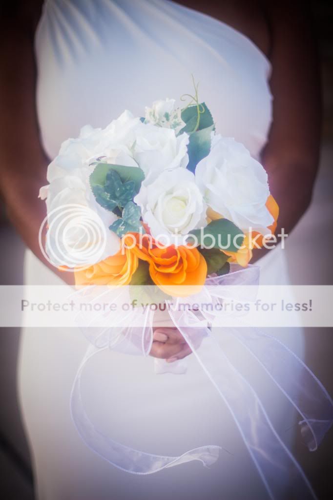 Bryant Tyson Photography Greenville NC Photographer Bridal Portraits Wedding Photographer