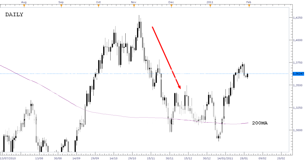 Forex beginner forum