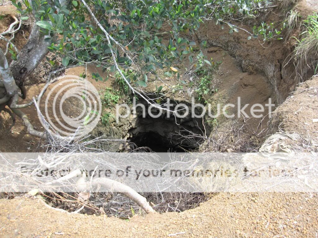 Xin tư vấn về máy bơm điện